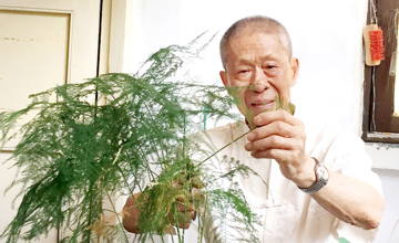 平凡的感動---記公司建廠元老、勞動模范 吳富龍