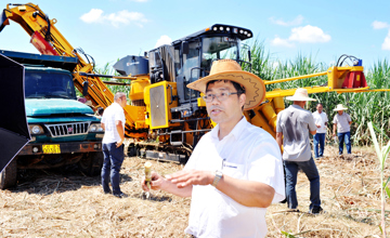 “鐵牛”“啃”甘蔗　“吸睛”又“吸粉”　柳工農機公司甘蔗生產全程機械化產品受追捧