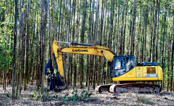 林場作業 柳工設備揮灑自如——柳工拉美市場系列報道之一